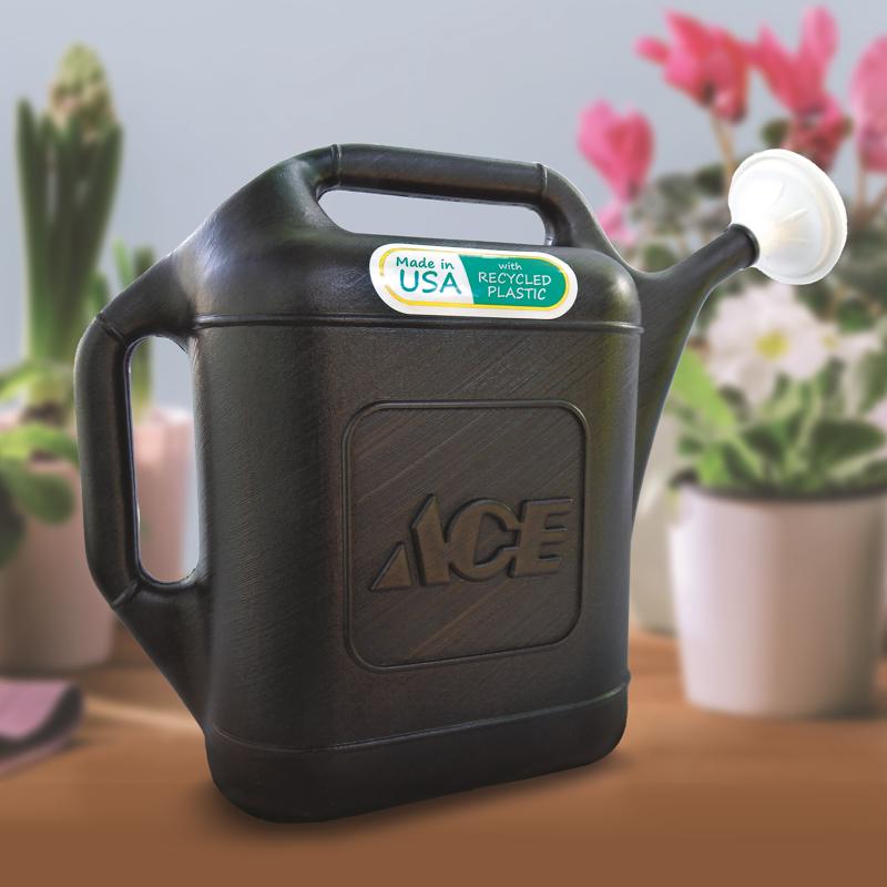Ace Black 2 gal Plastic Watering Can