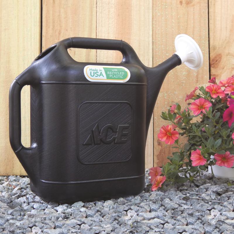 Ace Black 2 gal Plastic Watering Can