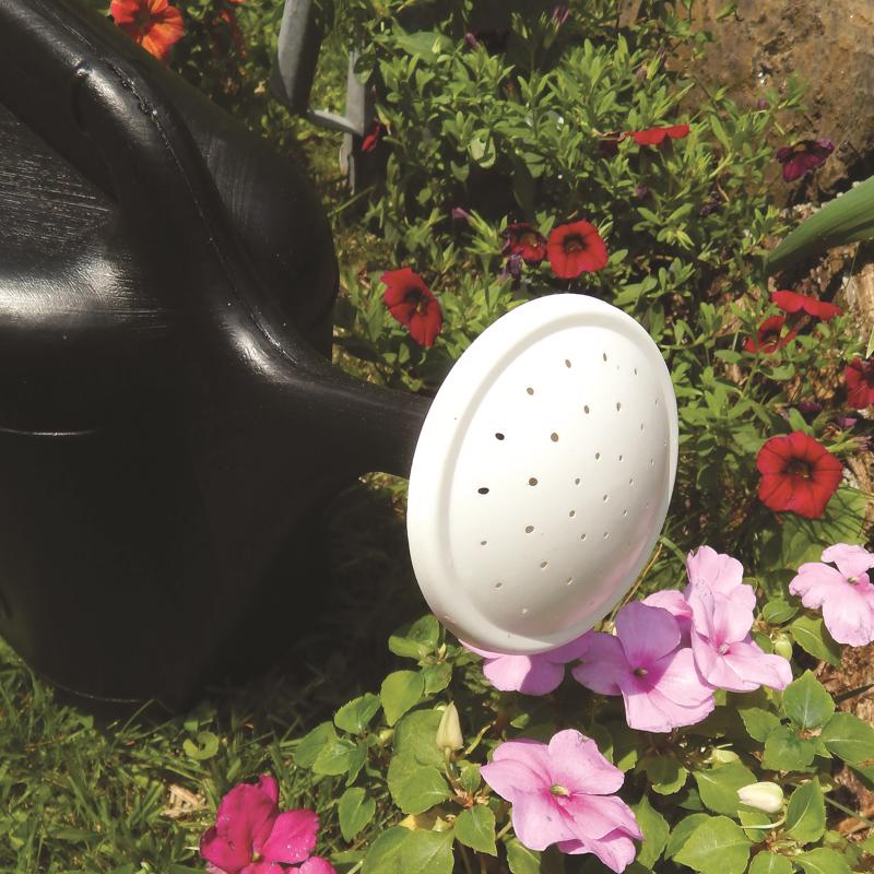 Ace Black 2 gal Plastic Watering Can