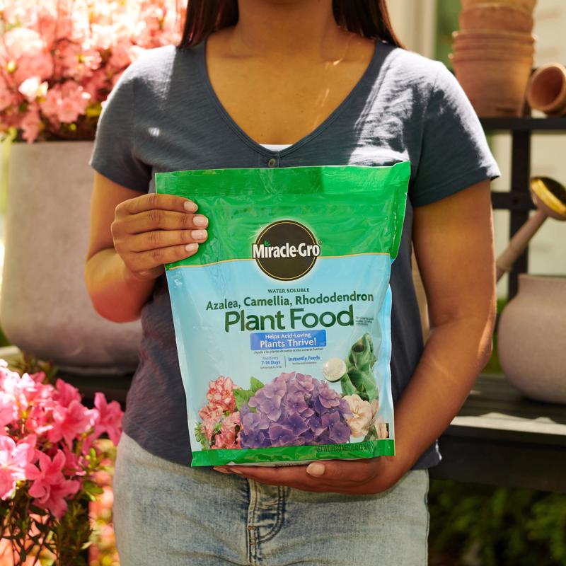 Miracle-Gro Powder Acid-Loving Plants of Azalea, Camellia, Rhododendron Plant Food 5 lb