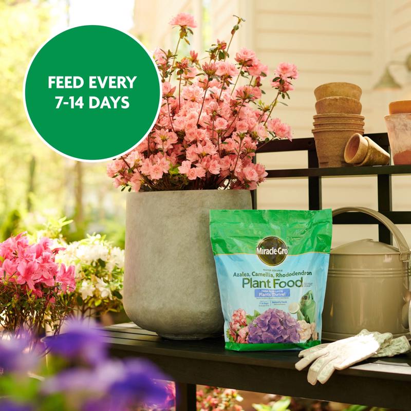 Miracle-Gro Powder Acid-Loving Plants of Azalea, Camellia, Rhododendron Plant Food 5 lb