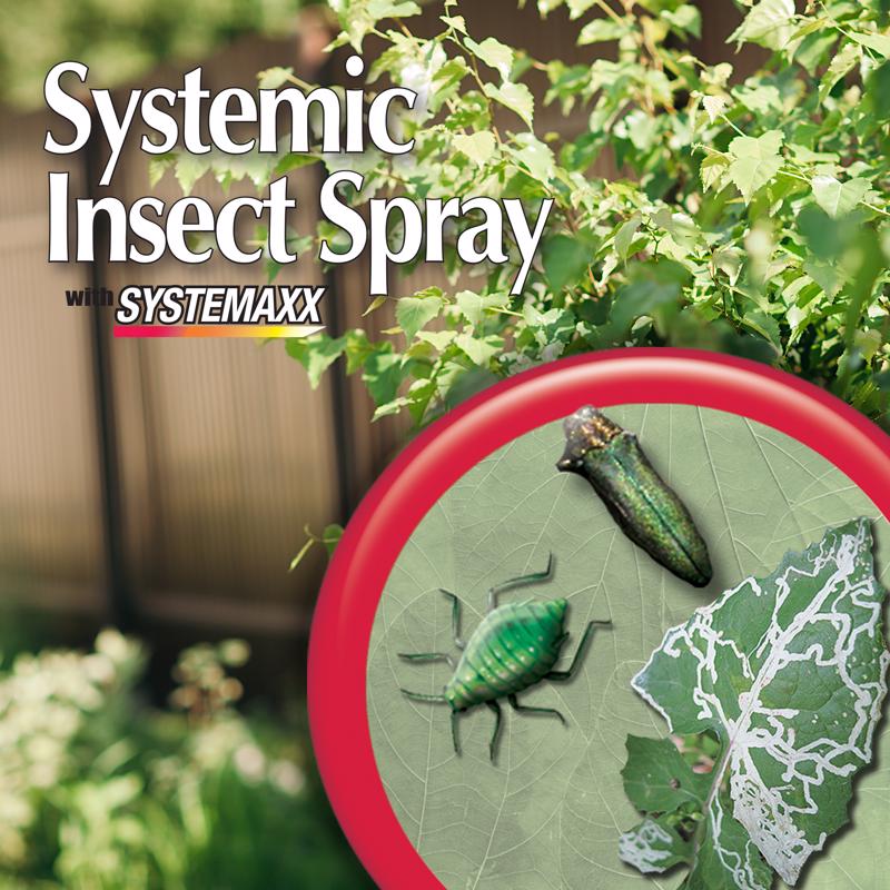 Bonide Systemic Spray Insect Killer Liquid 32 oz