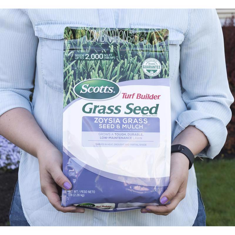 Scotts Turf Builder Zoysia Grass Partial Shade/Sun Grass Seed and Mulch 5 lb