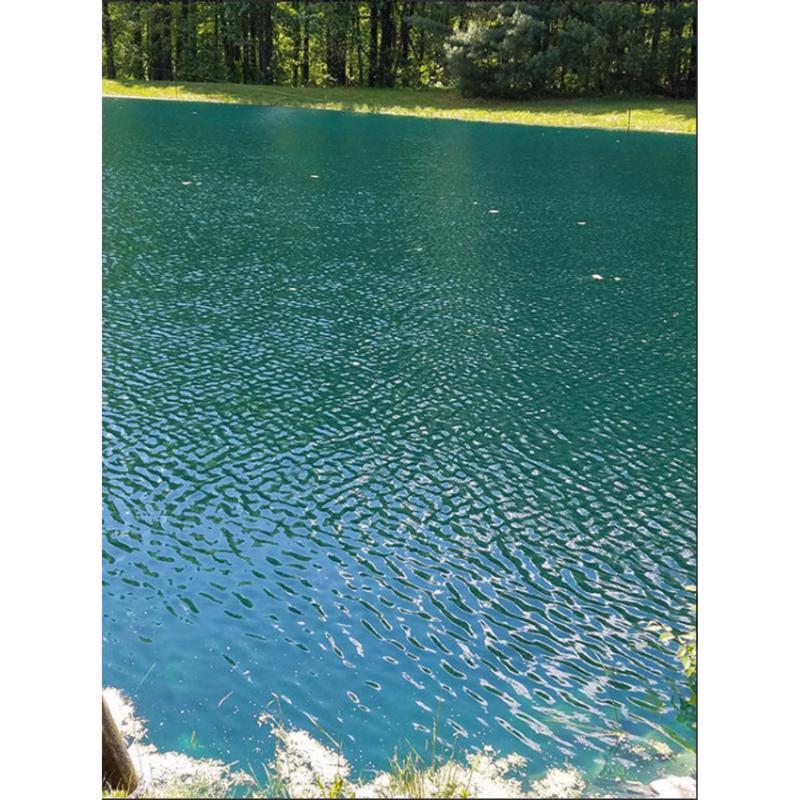 Crystal Blue Ocean Blue Lake and Pond Colorant 1 gal