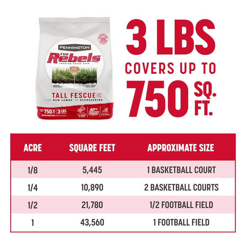 Pennington The Rebels Tall Fescue Grass Sun or Shade Grass Seed 3 lb