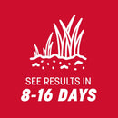 Pennington The Rebels Tall Fescue Grass Sun or Shade Grass Seed 3 lb