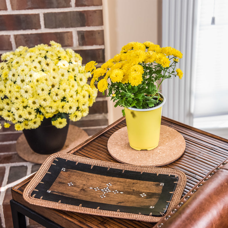 Gardener's Blue Ribbon 0.3 in. H X 6 in. D Cork Planter Mat Brown