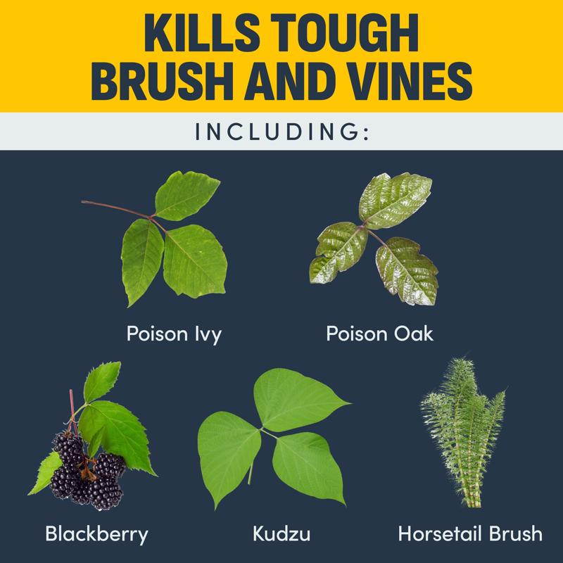 Lilly Miller Image Brush and Vine Killer Concentrate 1 qt