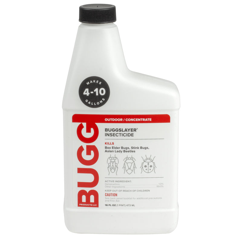 BUGGSLAYER BEB/MALB 16OZ