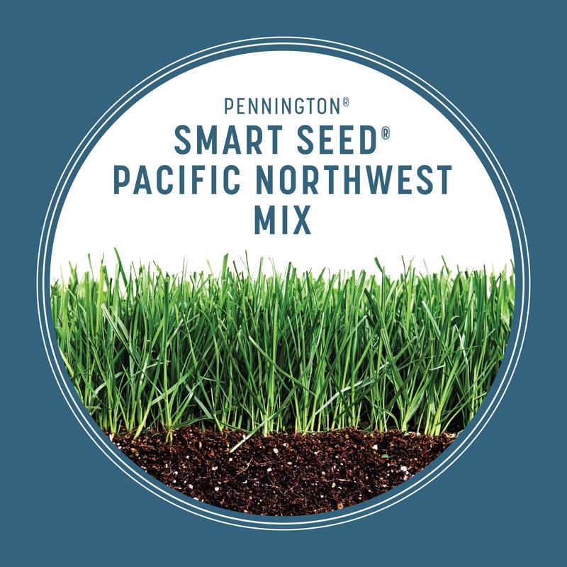Pennington Smart Seed Mixed Sun or Shade Grass Seed and Fertilizer 3 lb