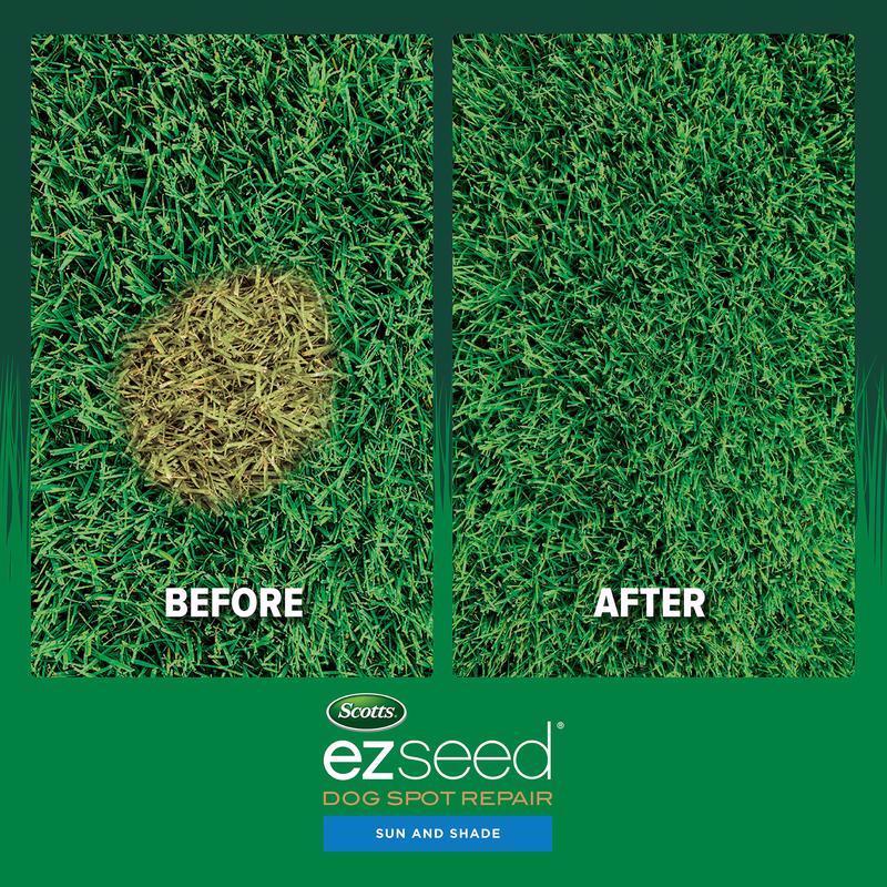 Scotts EZ Seed Mixed Sun or Shade Pet/Dog Spot Grass Repair Seed 2 lb