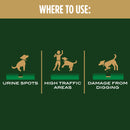 Scotts EZ Seed Mixed Sun or Shade Pet/Dog Spot Grass Repair Seed 2 lb