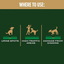 Scotts EZ Seed Tall Fescue Grass Sun or Shade Pet/Dog Spot Grass Repair Seed 2 lb