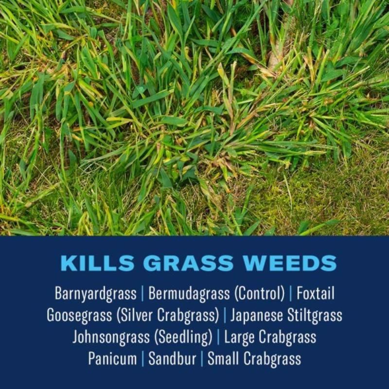BioAdvanced Crabgrass Killer RTS Hose-End Concentrate 32 oz