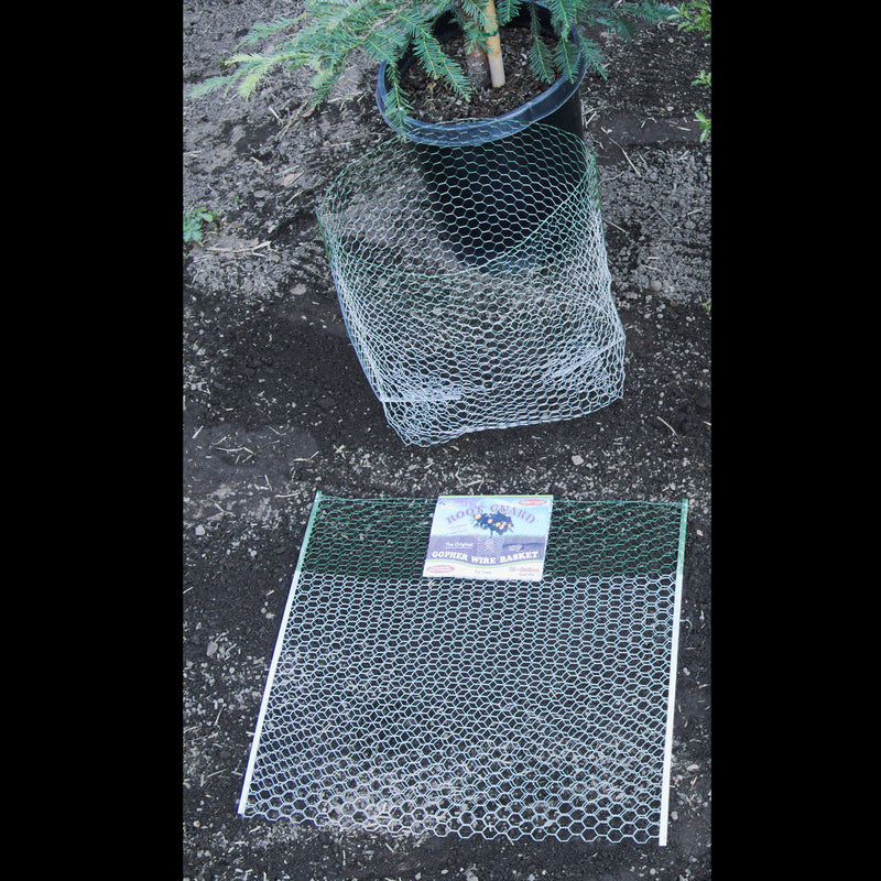Digger's Root Guard 27.75 in. H X 25 in. W X 0.2 in. D Silver Coated Wire Gopher Wire Basket