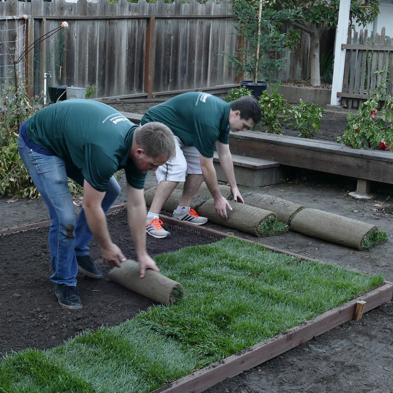 Digger's Root Guard 2 ft. H X 25 ft. D Silver Coated Wire Gopher Wire Roll