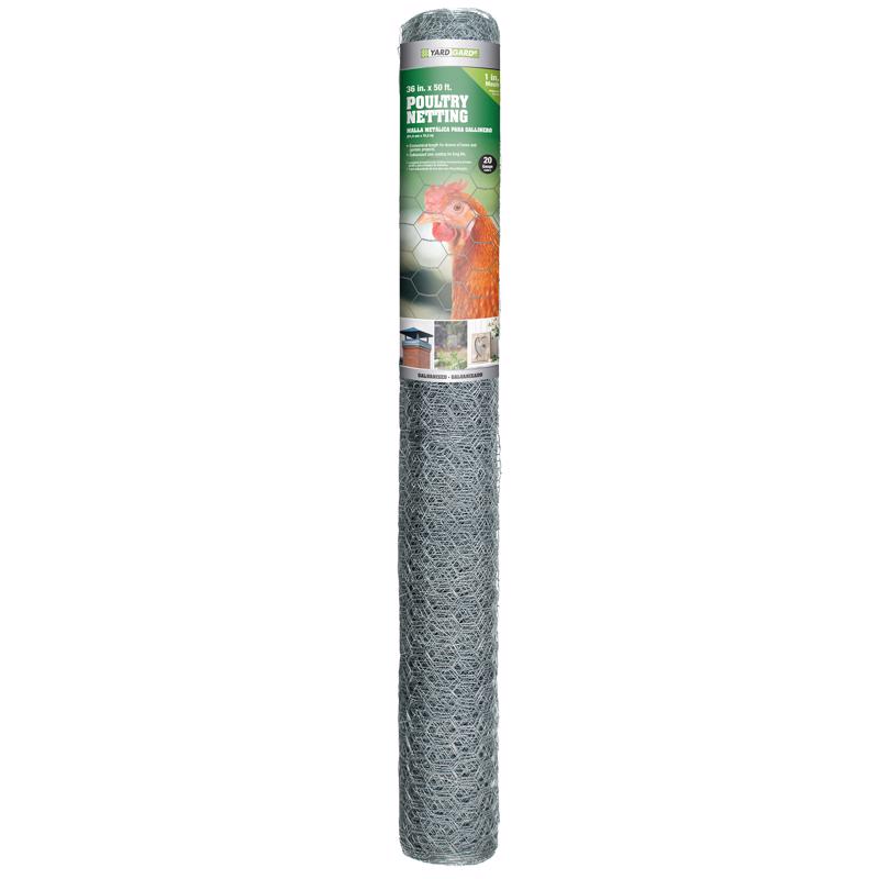 POULTRY NETTING 36"X50'