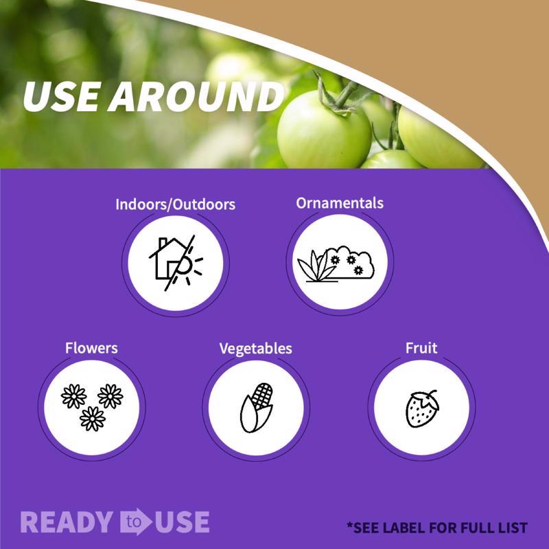 Bonide Bug Beater Stink Bug Trap 3 pk