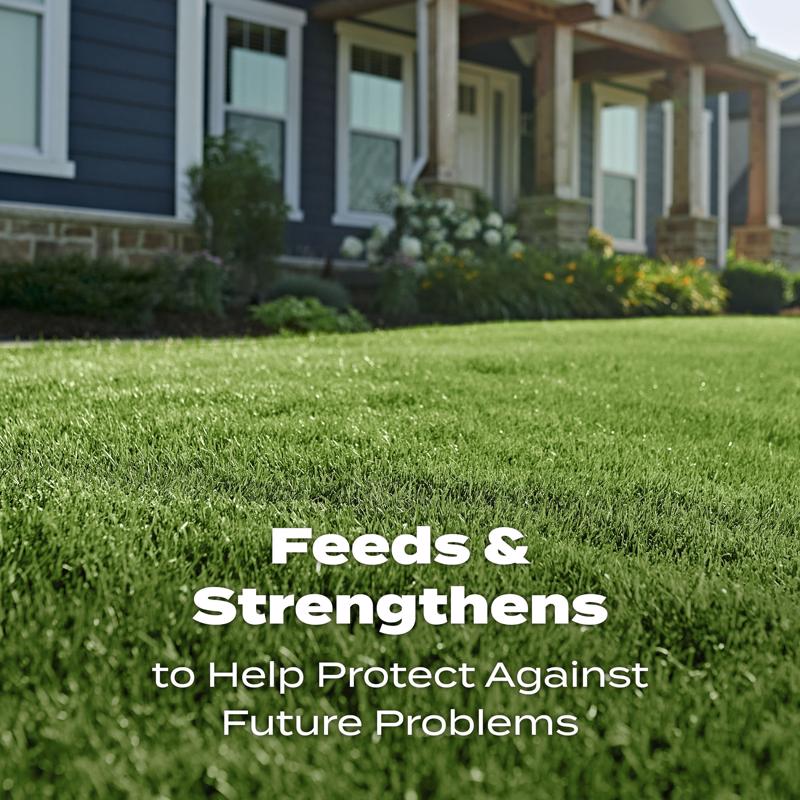 Scotts Turf Builder All-Purpose Lawn Food For All Grasses 5000 sq ft