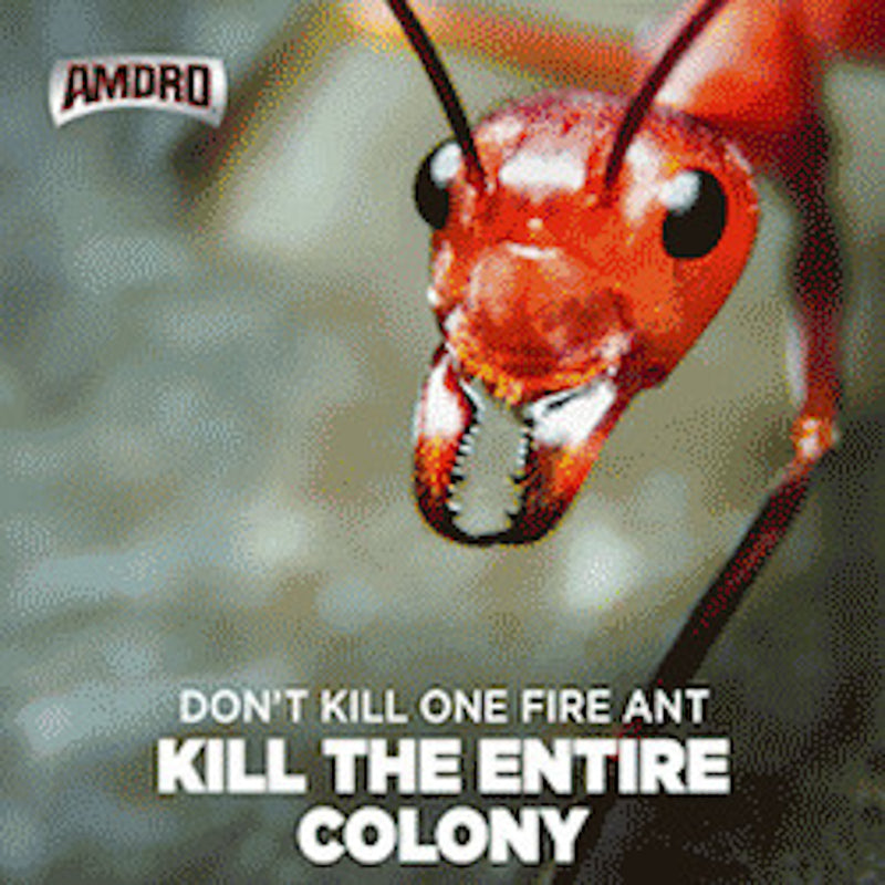 Amdro Insect Killer 6 oz