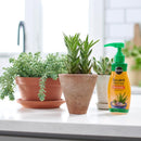 Miracle-Gro Succulent Liquid Cacti, Jade and Aloe Plant Food 8 oz