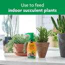 Miracle-Gro Succulent Liquid Cacti, Jade and Aloe Plant Food 8 oz
