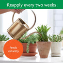 Miracle-Gro Succulent Liquid Cacti, Jade and Aloe Plant Food 8 oz