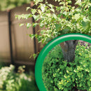 Bonide Sucker Punch Tree Roots Killer RTU Liquid 16 oz