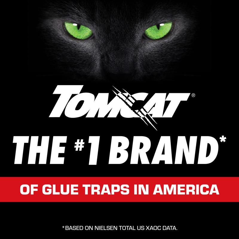 Tomcat Small Glue Trap For Mice 4 pk