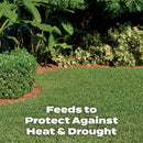 Scotts Turf Builder Southern All-Purpose Lawn Fertilizer For All Grasses 10000 sq ft