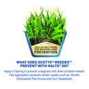 Scotts WeedEx Prevent with Halts Weed Preventer Granules 10 lb