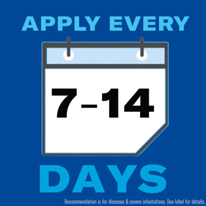 BioAdvanced Insect Killer Liquid 24 oz