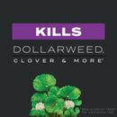 Scotts Turf Builder Southern Triple Action Weed & Feed Lawn Fertilizer For All Grasses 8000 sq ft