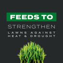 Scotts Turf Builder Southern Triple Action Weed & Feed Lawn Fertilizer For All Grasses 8000 sq ft