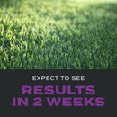 Scotts Turf Builder Southern Triple Action Weed & Feed Lawn Fertilizer For All Grasses 8000 sq ft