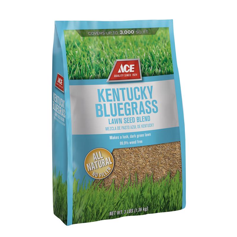 ACE KY BLUEGRASS SEED 3#