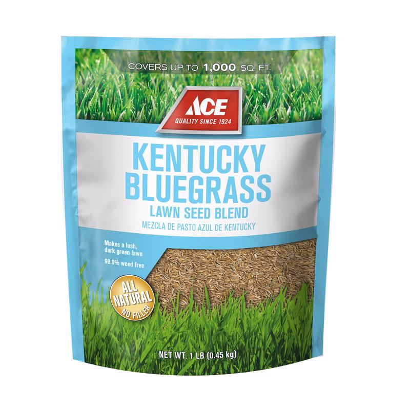 ACE KY BLUEGRASS SEED 1#