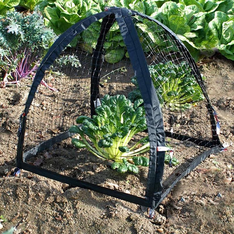 NuVue PestGuard 25 in. L X 25 in. W 1 pk Plant Protector