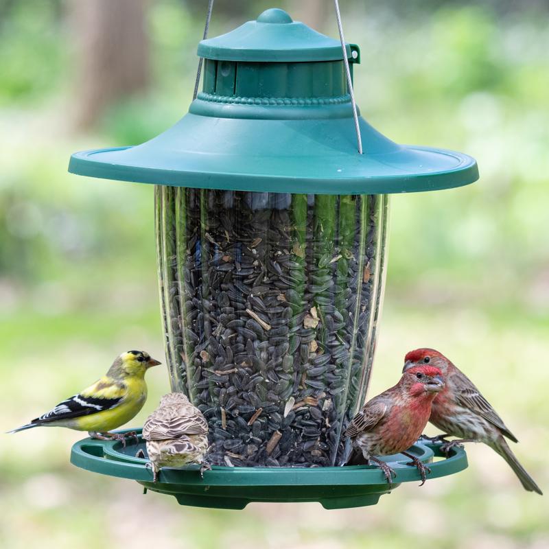 Stokes Select Wild Bird 3.8 lb Plastic Lantern Bird Feeder 5 ports