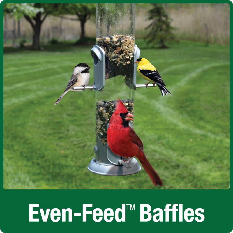 Nature's Way Deluxe Wild Bird and Finch 1.4 qt Metal/Plastic Easy Clean Tube Bird Feeder 4 ports