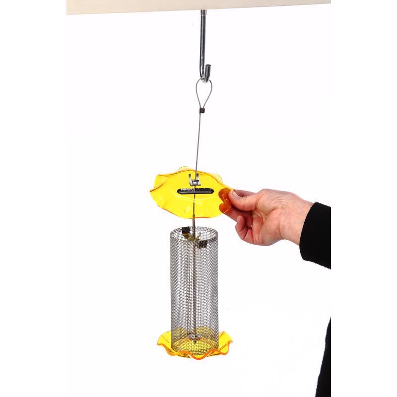 Birds Choice Finch 1 qt Acrylic/Stainless Steel Tube Mesh Bird Feeder