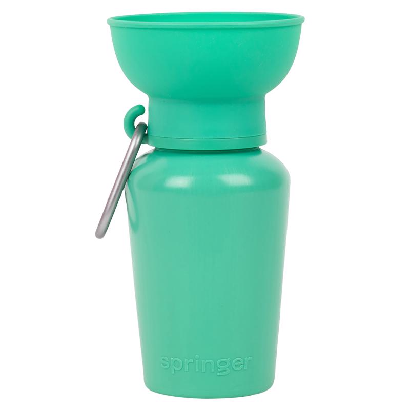 PT TRVL BTL DGS GRN 20OZ