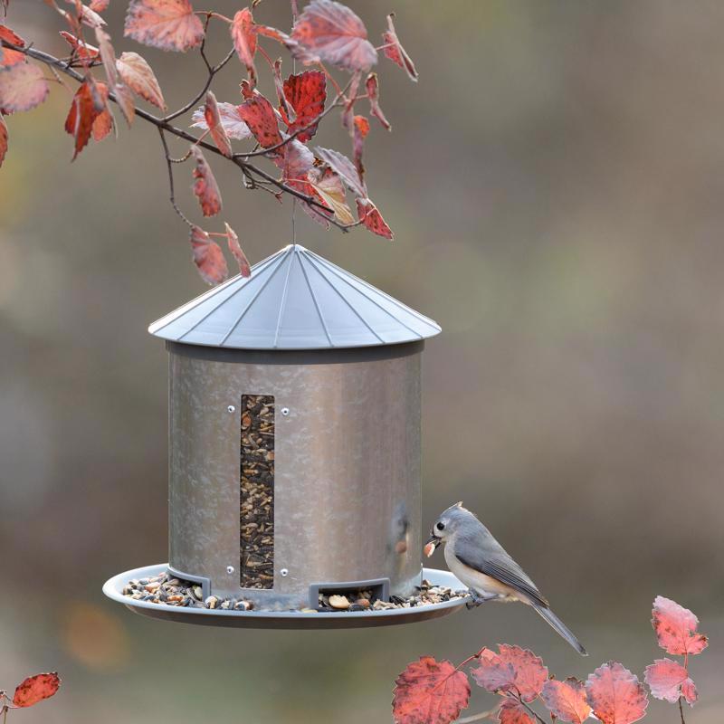 More Birds 7 lb. capacity Metal Bird Feeder