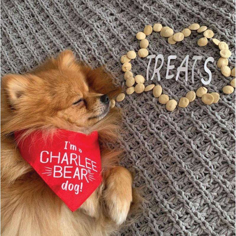 Charlee Bear Original Crunch Cheese and Egg Biscuit For Dogs 16 oz 1 pk