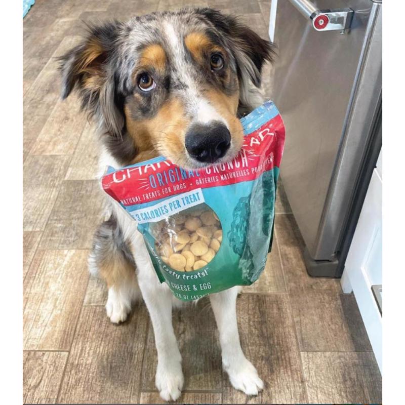 Charlee Bear Original Crunch Cheese and Egg Biscuit For Dogs 16 oz 1 pk