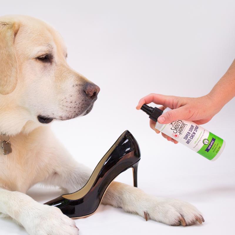 Skout's Honor Cat/Dog No Chew Training Spray 8 oz