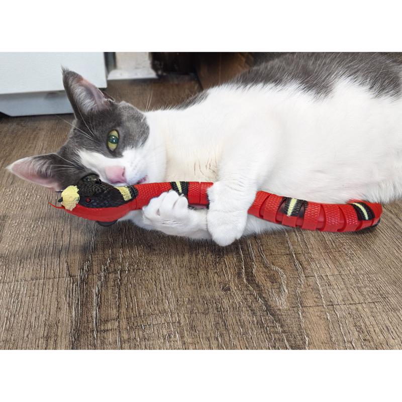Spot Multicolored Rubber/Plastic Wigglin' Snake Cat Toy 15 1 pk