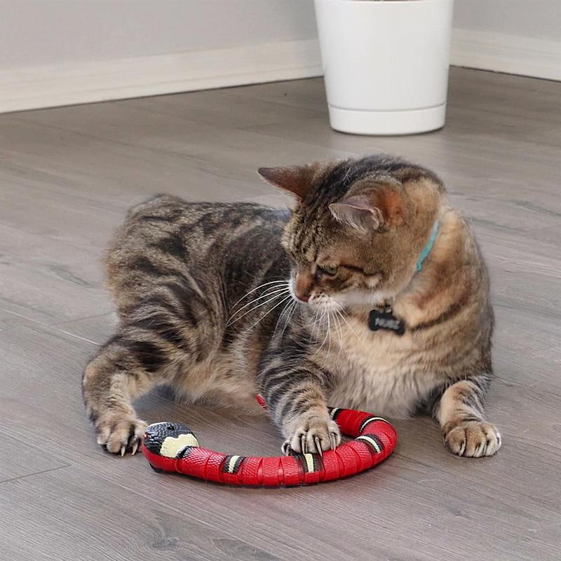 Spot Multicolored Rubber/Plastic Wigglin' Snake Cat Toy 15 1 pk