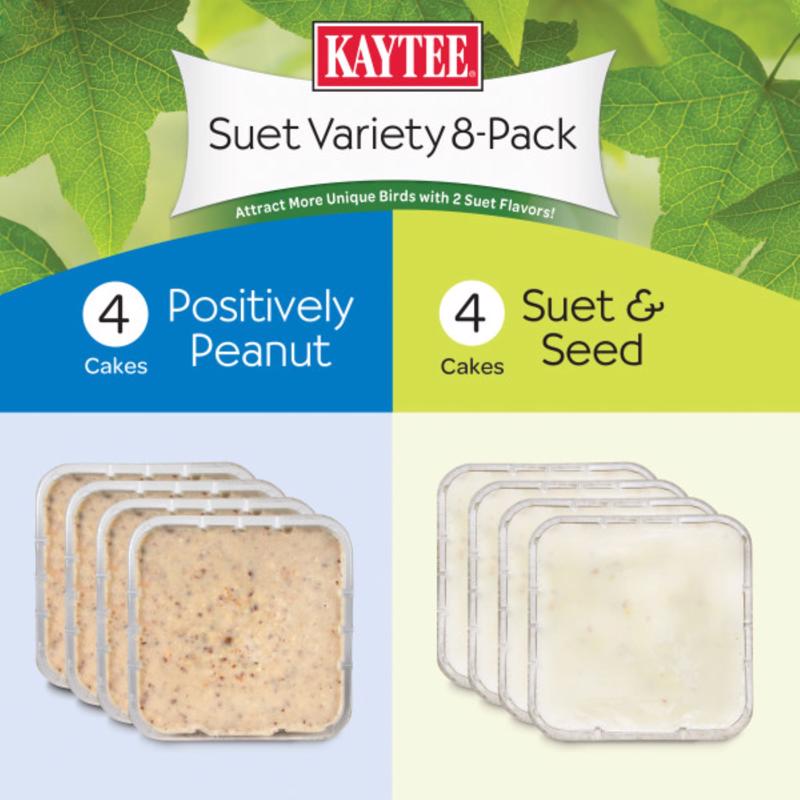 Kaytee All Wild Birds Beef Suet Wild Bird Food 8 pk