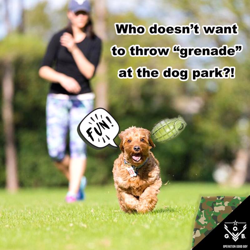 Operation Good Boy Grenade Toy Green Rubber Dog Treat Toy/Dispenser 1 pk